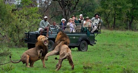 safari vacations in south africa oat